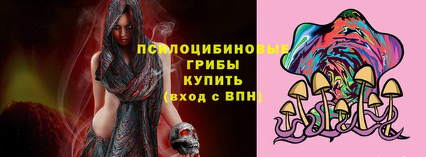 прущие крисы Армянск
