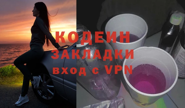 амф Арсеньев