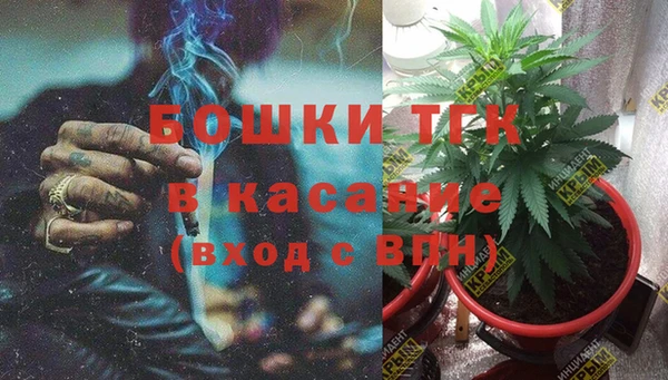 амф Арсеньев