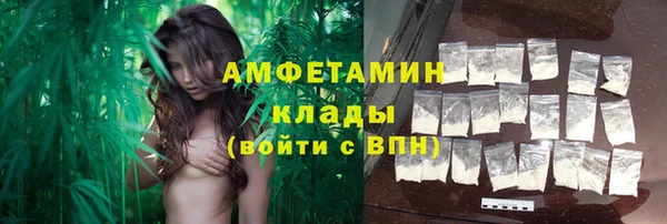 амф Арсеньев
